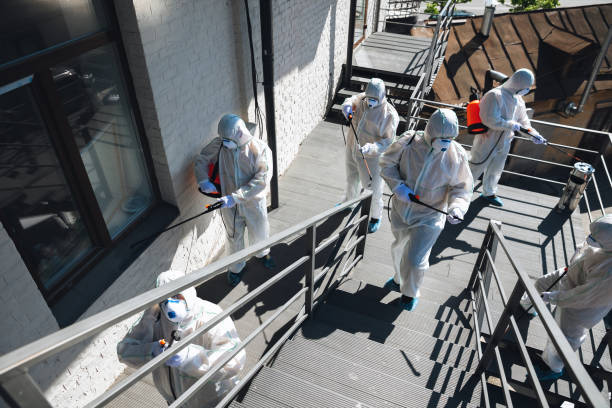 Mold Remediation for Vacation Homes in Oriole Beach, FL