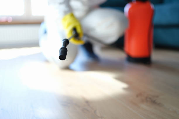 Best Mold Damage Restoration  in Oriole Beach, FL